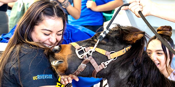 UCR Student is greeted by a therapy pony at the HUB.